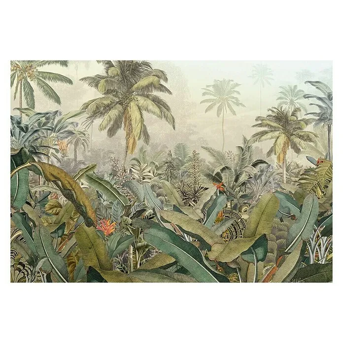 Foto tapeta Amazonia