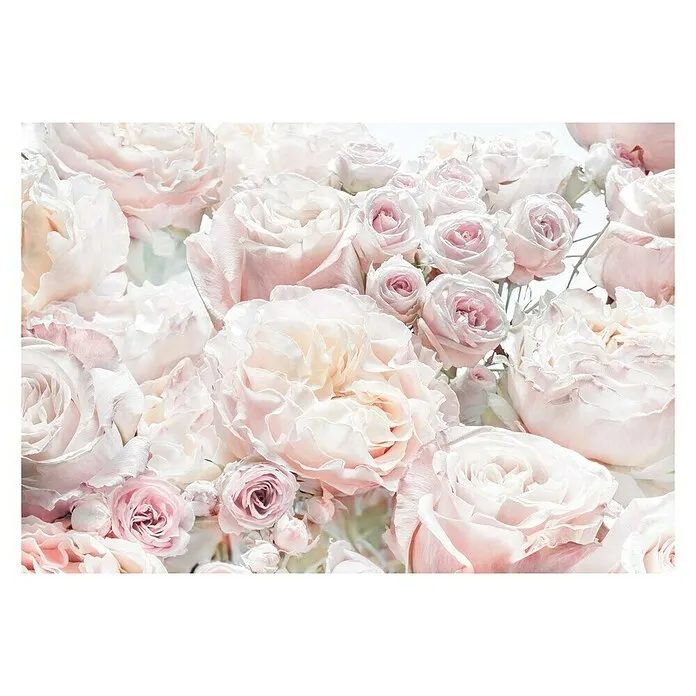 Foto tapeta Spring Roses