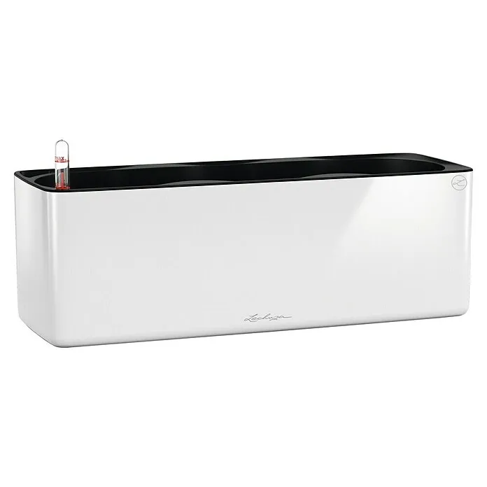 Kutija za bilje Cube Glossy Triple
