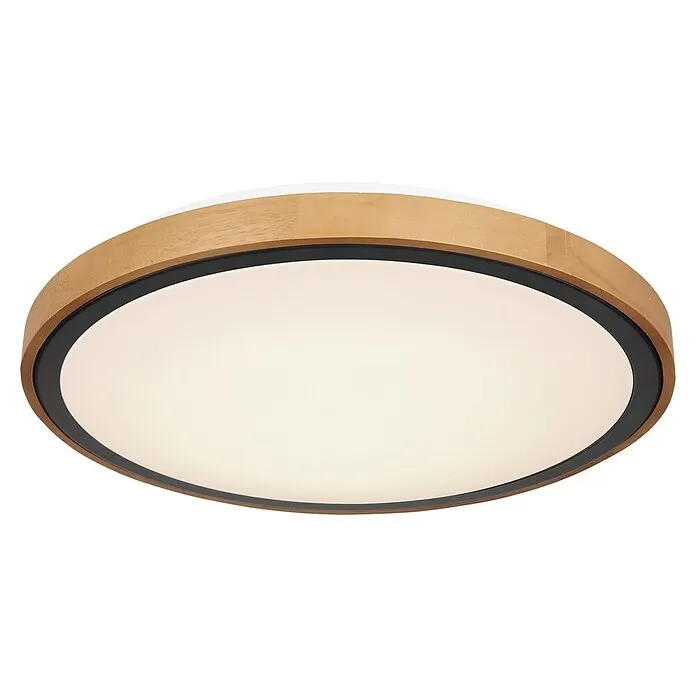 LED stropna svjetiljka Bruno