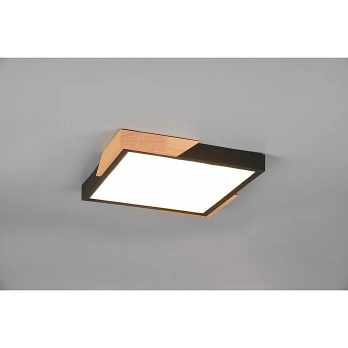 LED stropna svjetiljka Meta