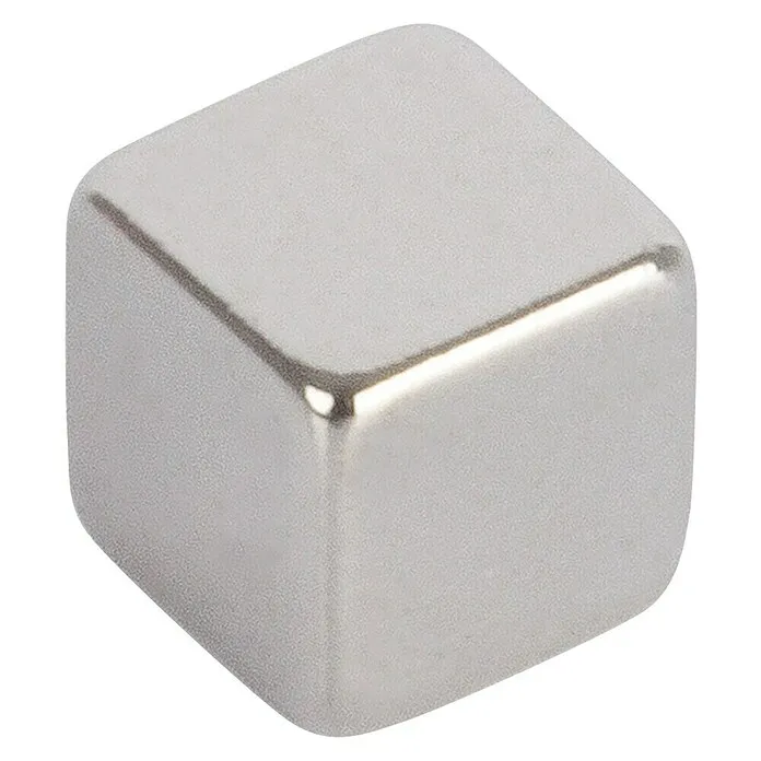 Magnet