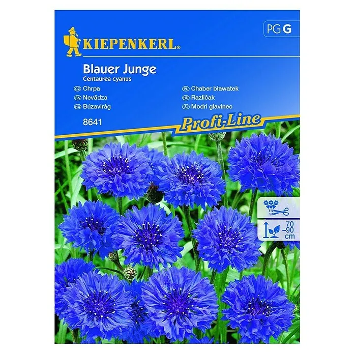 Sjeme cvijeća Različak Blauer Junge