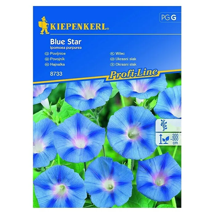 Sjeme cvijeća Ukrasni slak Blue Star