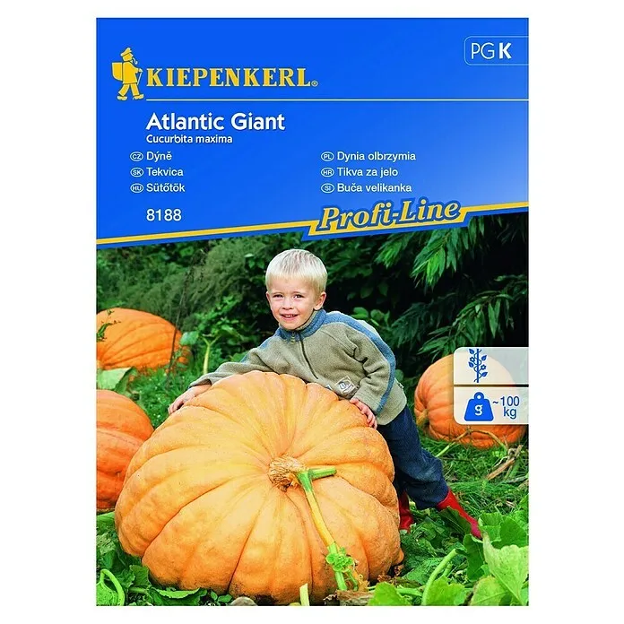 Sjeme povrća bundeva Atlantic Giant
