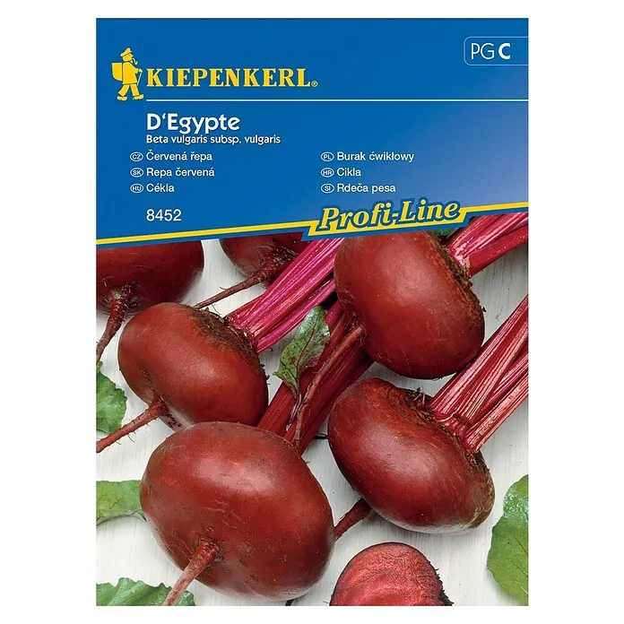 Sjeme povrća Cikla D'Egypte
