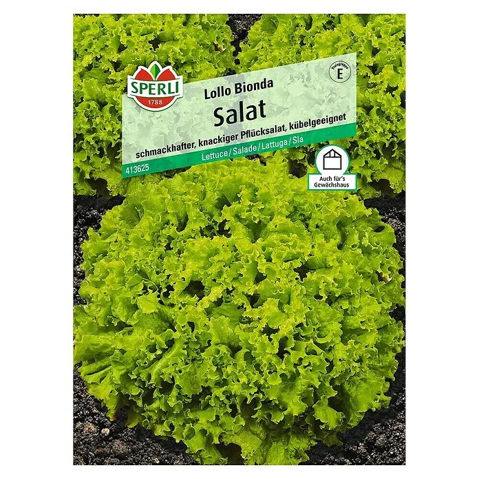 Sjeme salate