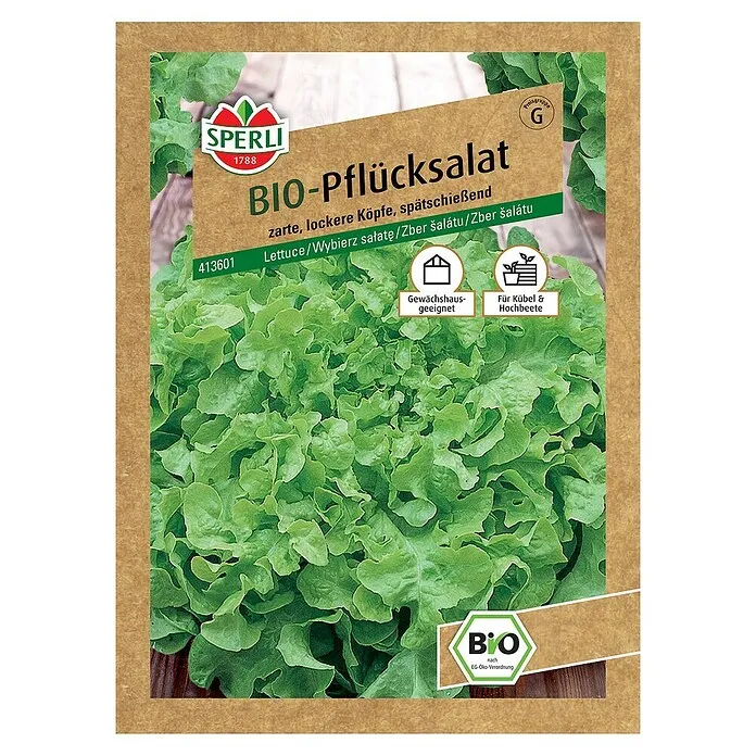 Sjeme salate