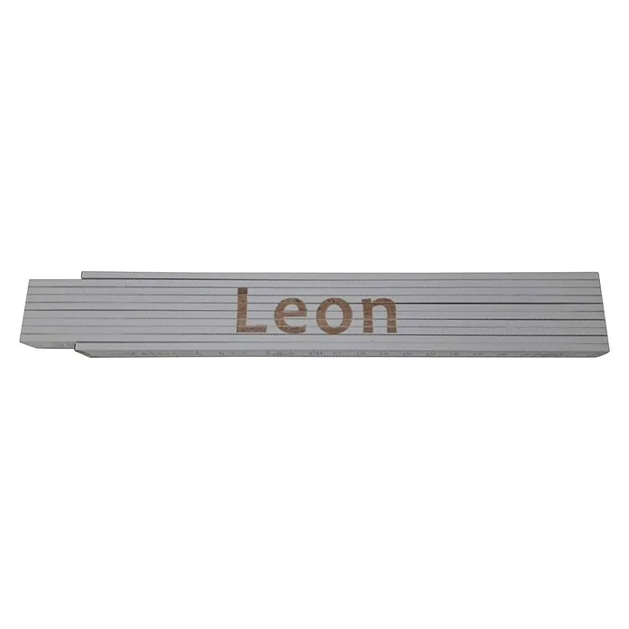 Zidarski metar Leon