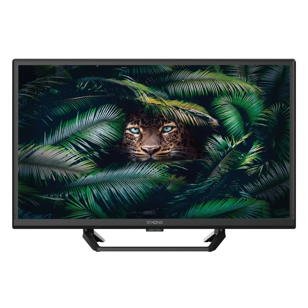 Televizor LED 24incha STRONG SRT24HE4023C, HD, DVB-T2/C/S2, 12V, HDMI, USB A, CI, energetski razred E