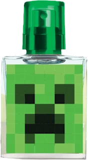 Minecraft edt