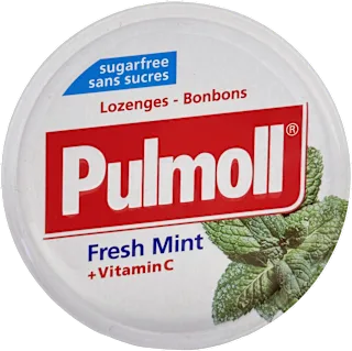 Pastile – Fresh Mint + vitamin C, 45 g