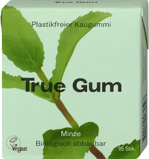 Žvakaće gume - menta i matcha, 21 g