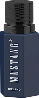 Wild Horizon Iceland Intense edp, 50 ml