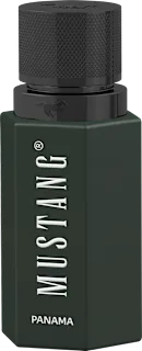 Wild Horizon Panama Intense edp, 50 ml