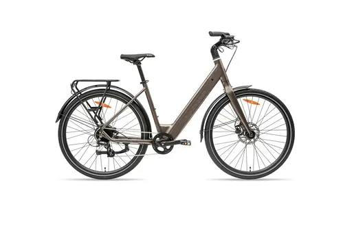 MS ENERGY eBike Zorya bronze