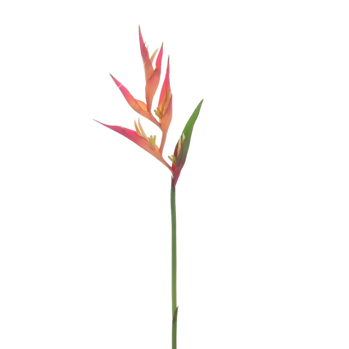 Dekorativna grana SPIKE