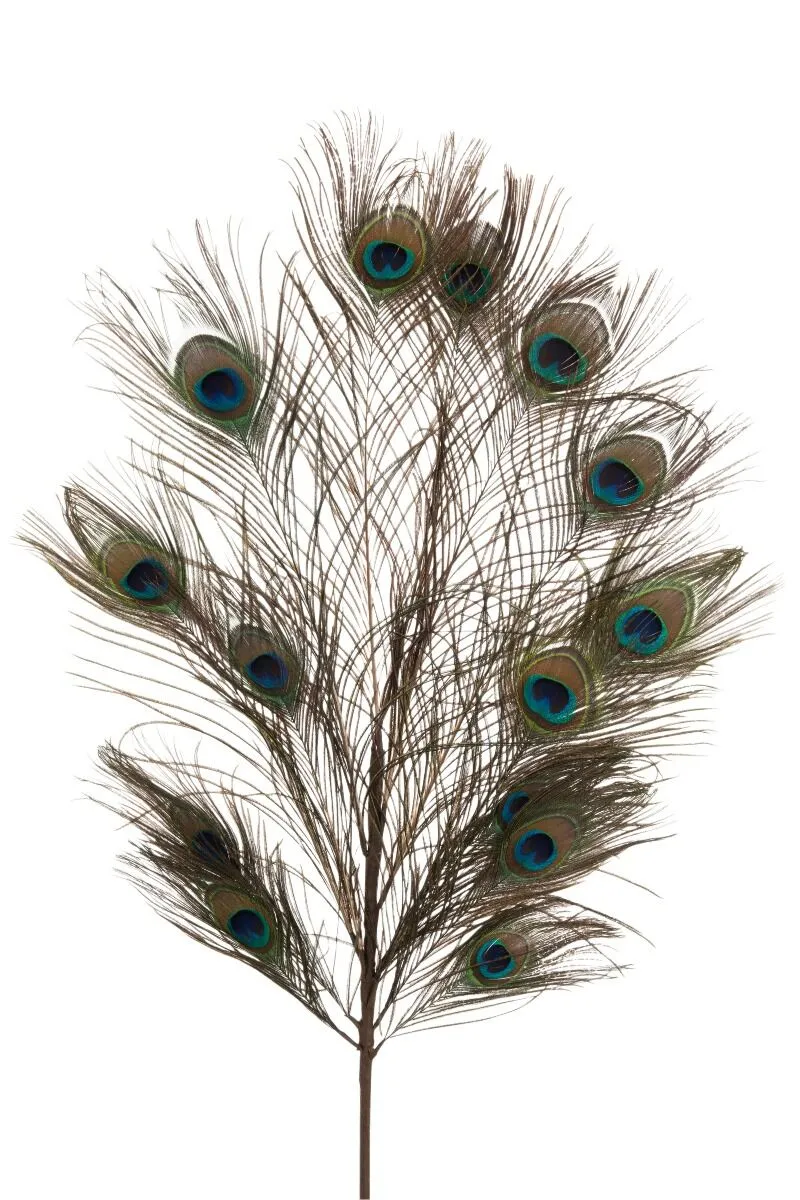 Dekorativno pero PEACOCK