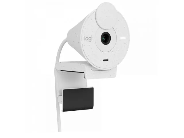Web kamera LOGITECH 300, Full HD, 1080p, USB, bijela (960-001442)