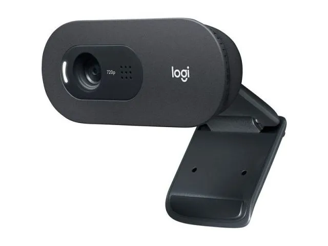 Web kamera LOGITECH C505 HD, crna (960-001364)