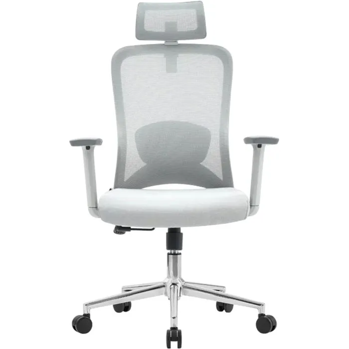 Uredska stolica Ergovision Nexus, Grey