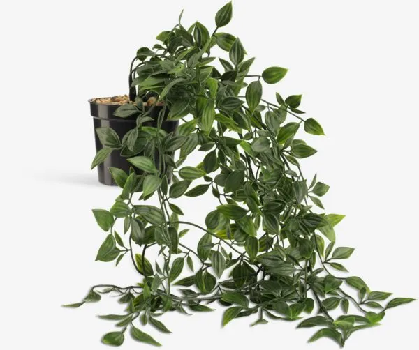 Umjetna biljka OLIVER D70 cm viseća