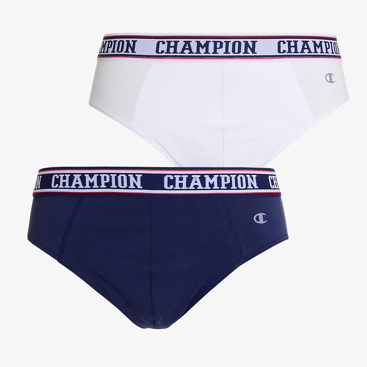 Champion CAMO BRIEFS 2/1