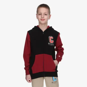 Champion Hooded Sweatshirt