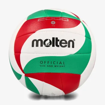 Molten Volleyball