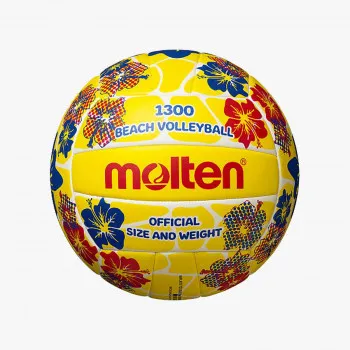Molten Volleyball