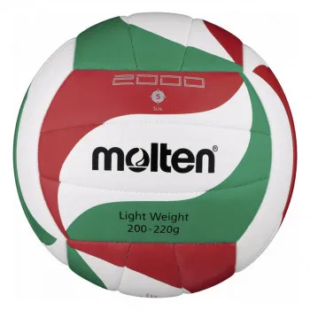 Molten Volleyball